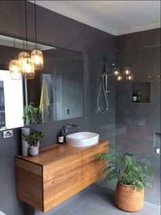 a bathroom with a sink, mirror and plants in the shower area on the counter