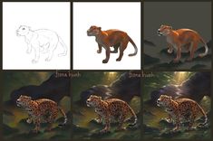 four pictures of different types of animals in various stages of their life, including a cheetah and a leopard