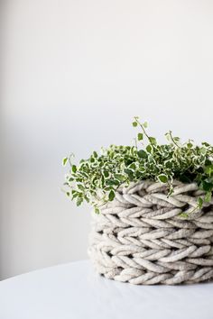 a plant in a rope basket on a table