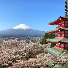 a tall red building sitting in the middle of a forest filled with cherry blossom trees