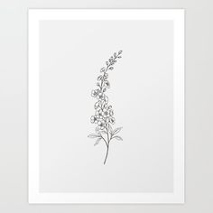 Delphinium Tattoo Black And White, Delphinium Flower Illustration, Lilac Stem Tattoo, Delphinium Line Art, Larkspur Line Drawing, Delphinium Flower Tattoo Black And White, Lilac Flower Tattoo Black And White, Larkspur Fine Line Tattoo, Fine Line Larkspur Tattoo