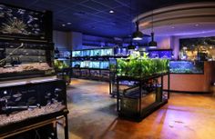 a fish tank filled with lots of different types of plants and animals in a room