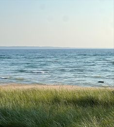 an ocean view from the shore with grass in foreground