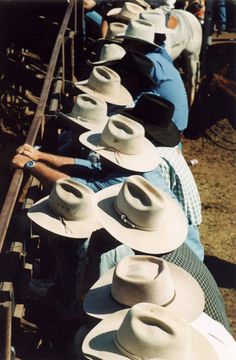 Troubadour Aesthetic, Western Pictures, Cowboy Core, Akubra Hats, Western Fabric, Cowboy Photography, The Last Ride, Collage Pics, Western Photo