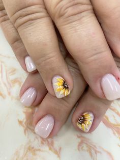 Sunflower  nails~ Short Nails With Sunflowers, Royal Blue And Sunflower Nails, French With Sunflower Nails, Gel Nail Designs Sunflower, Sunflower Nails Acrylic, Sunflower Nail, Sunflower Gel Nails Short, White Nails With Sunflower Design, Short Nail Designs With Sunflowers