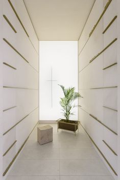 an empty room with a plant in the center and white walls on either side,