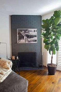 a living room with a couch, fireplace and large potted plant in the corner