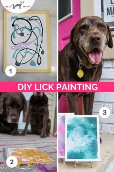 four different pictures with the words diy lick painting in front of them and two dogs