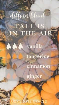 The Best Fall Diffuser Blends - Our Simple Graces Witch Oils, Home Smell Like Fall, Smell Like Fall, Fall Essential Oil Blends, Fall Essential Oils, Fall Diffuser Blends, Essential Oil Combinations, Doterra Essential Oils Recipes, Essential Oil Diffuser Blends Recipes