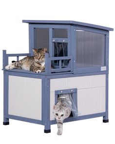 two cats sitting on top of a blue and white cat house with the door open