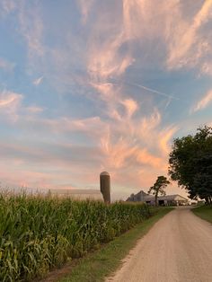 a dirt road leading to a corn field with a silo in the distance at sunset