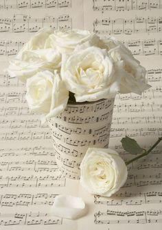 some white roses are in a cup on sheet music paper with musical notes behind it