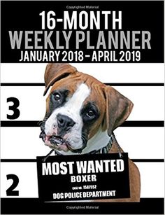 a dog is shown in this poster for the 12 - month planer, january - december