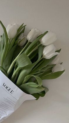 Clean White Wallpaper, Vintage Vision Board, Clean Phone Wallpaper, Opened Tulips, White Tulips Wallpaper, Simple Flower Aesthetic, Clean Girl Wallpaper, Green Tulips, Tulip Wallpaper