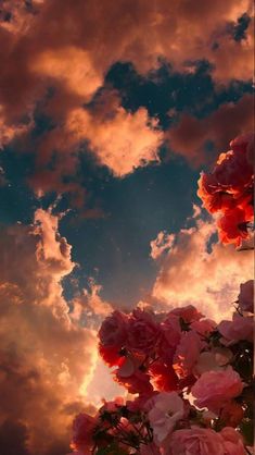 the sky is filled with clouds and pink flowers