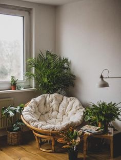 a living room filled with lots of plants next to a large window on top of a hard wood floor