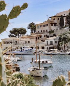 several boats are docked in the water next to some buildings and cactus plants on the shore