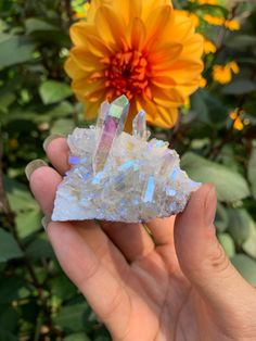 Beautiful Angel Aura Crystal - Weight: 43g - size: 5 x 4.5 cm 🌈 Uniquely beautiful 🫶🏼 Hand selected by us 💫 Each crystal is unique 💎 High quality crystals ✨ High-quality silicon vapor deposition It is said that Angel Aura Crystals help you to raise your vibration, experience more joy and go through life with more love and ease. Some report that they are perceived as more open and positive and have a stronger charisma. Angel Aura Crystal, Handmade Angels, Aqua Aura, Love Energy