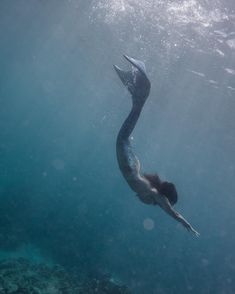 an image of a mermaid swimming in the ocean with her long tail sticking out from under water