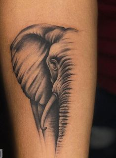 an elephant tattoo on the arm