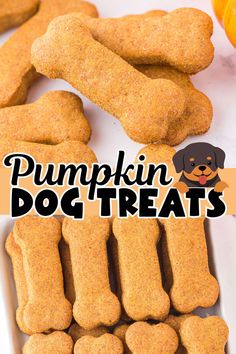 pumpkin dog treats with the title overlay