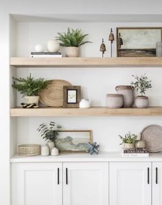 some shelves with plants and pictures on them