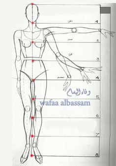 a drawing of a female body with the names in arabic and english on it's side