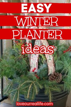 an easy winter planter idea with pine cones and evergreens