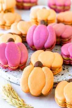 pumpkin macarons on a plate with wheat