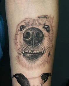 a black and white photo of a dog's face with two birds on it