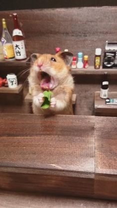 a hamster is eating something out of a wooden box with its mouth wide open