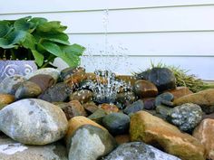 a water fountain surrounded by rocks and plants