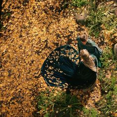 an aerial view of a woman in a blue dress sitting on the ground surrounded by leaves