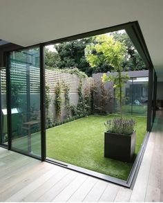 an open room with grass and plants in the center, looking out onto a backyard