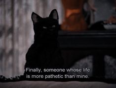 a black cat sitting on top of a bed next to a table with a quote