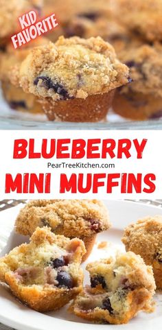 blueberry mini muffins on a white plate