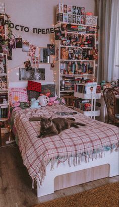 a cat laying on top of a bed in a room with many bookshelves