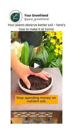 62 reactions | Follow @your_growfriend for more amazing plant care tips and tricks!🌿

Save money, reduce waste, and grow healthier plants with homemade nutrient-rich soil! 🌱💚

📽 gardening.tipss

#growfriend #composting #gardeningtips #sustainableliving #growyourown #plantcare #homesteading #gardenhacks #ecofriendly #diygardening #organicgardening | GROWFRIEND 🌿 Fertilizing Plants, Hanging Plants Outdoor, Miracle Grow, Plant Care Tips