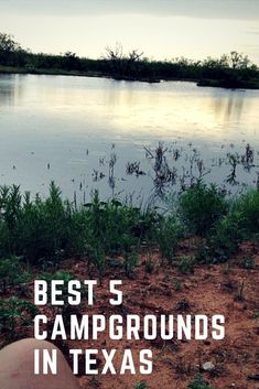 a person laying on the ground next to a body of water with trees in the background