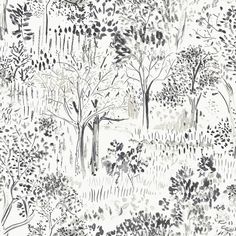 black and white drawing of trees in the woods