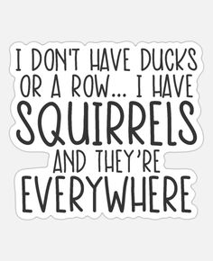 i don't have ducks or a row i have squirrels and they're everywhere sticker