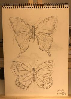 two drawings of butterflies sitting on top of a table