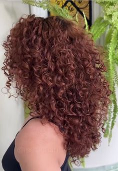 Semi Natural Hair Color, Red Auburn Curly Hair, Dark Copper Hair Curly, Red Curly Highlights, Dark Copper Balayage Brunette Curly, Cowboy Copper Curly Hair, Ginger Brown Curly Hair, Dark Copper Hair With Highlights, Cherry Brown Curly Hair