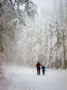 two people cross country skiing in the snow