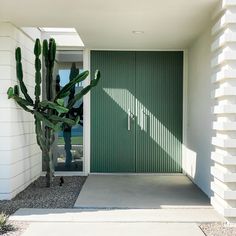 a cactus in front of a green door