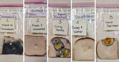 four pictures show different stages of bread being sliced and put on display in plastic bags