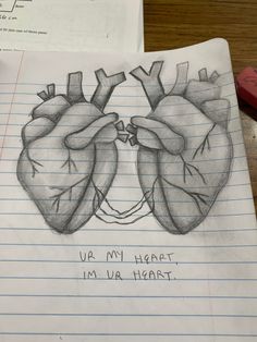 a drawing of two human heart on lined paper with pencils next to each other