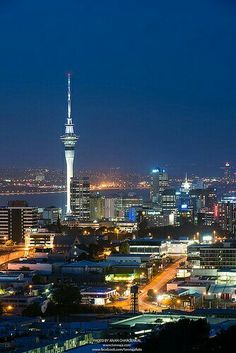 the city skyline is lit up at night