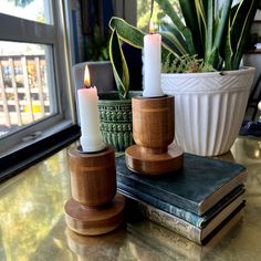 two candles sitting on top of a table next to books and a potted plant