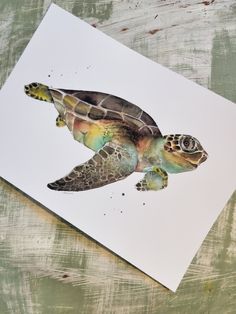 a painting of a sea turtle on white paper